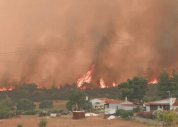 19 mijë të evakuuar në Rodos, vijojnë operacionet e shpëtimit