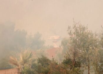 Athina e rrethuar nga zjarret, Ekspertët: Atika rrezikon të shndërrohet në shkretëtirë