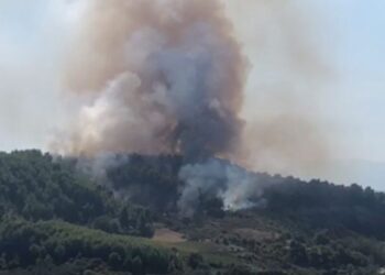 Ndezi zjarr për hapjen e kullotave/ Pranga të riut që i vuri flakën sipërfaqes pyjore