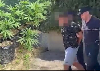 Kanabis brenda repartit/ Tre ushtarakët e Zall Herrit lënë qelitë e burgut
