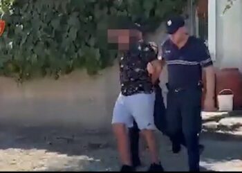 Kanabisi në repartin e Zall Herrit/ Peleshi: Pezulluam përgjegjësit, dënojmë me forcë çdo aktivitet të kundërligjshëm