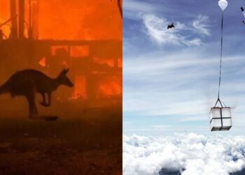Parashutisti bën gjestin human, mbjell 100 milionë fara pemësh në zonën e shpyllëzuar të Amazonës