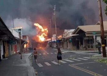 Shkon në 67 numri i viktimave nga zjarret në ishullin Hawaii
