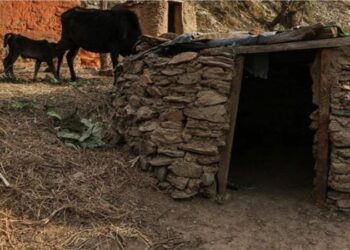 Historia e dhimbshme e 16-vjeçares, praktika çnjerëzore që çoi në vdekjen e saj