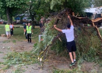 Reshjet e shiut dhe era e fortë / Thyhen degët e pemës shumëvjeçare në Pogradec