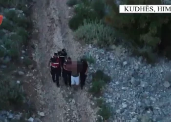 Ndezën zjarr në pyll, arrestohen dy blegtorët në Himarë