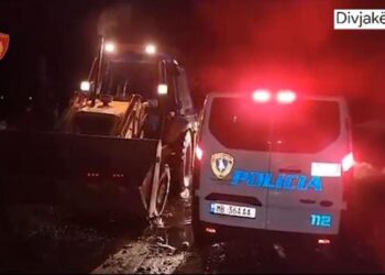 Policia ndihmon 8 turistë italianë që iu ngecën makinat në baltë në pyllin e Divjakës
