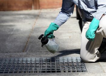 31 raste të reja me virusin e Nilit Perëndimor në Greqi, 11 të vdekur deri tani