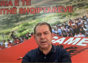 “Dhe Dule me zërin e hollë…”/ Protesta për lirimin e Belerit, kreu i PDIU: E sforcuar! Presion i drejtpërdrejtë për drejtësinë shqiptare