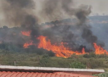 Vullnetarët kundër flakëve! 650 persona i bashkohen Emergjencave Civile në Elbasan