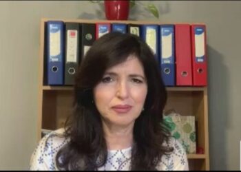 “Basha s’është kryetar i PD”/ Karabina-Korreshit: Procesi legjitim! S’kishte mbledhje Këshilli, s’na keni dërguar link për t’u futur në takimin online
