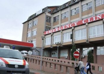 Ngjarja tragjike/ 8-vjeçari ndahet nga jeta pasi e zënë dyert e oborrit, plagoset motra e mitur. Po luanin…!