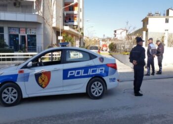 Emri/ U kap duke transportuar emigrantë dhe s’iu bind policisë, pranga 18-vjeçarit