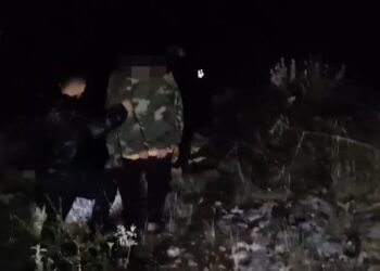 Kultivonin kanabis dhe i ruanin të mbjellat me armë, arrestohet babai dhe 2 djemtë në Poliçan