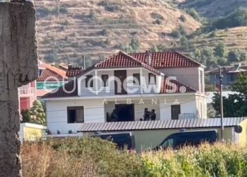 Plagosi bashkëshorten dhe të birin, 62-vjeçari në Maliq hap zjarr drejt policisë