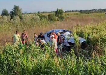 Detaje të reja/ Aksidenti në Lushnje: Makina përfundoi në fushën me misër, plagosen burrë e grua dhe fëmijët e mitur