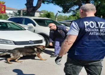 I dënuar me 13 vite burg për vrasje në 1997-n, arrestohet shqiptari në Itali