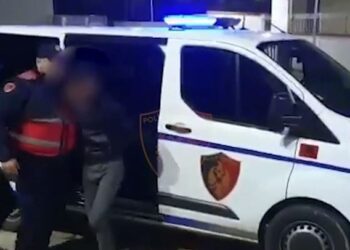 EMRI| Arrestohet i moshuari në Dibër, dogji 2 hektarë tokë