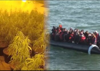 Emri/ “Jam skllav”! Përfundon në burg shqiptari në Angli, policia e gjeti të fshehur pas derës në një shtëi ‘bari’