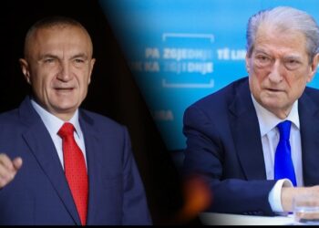 Jo Beleri e Micotaqis por Berisha e Meta janë Hamzajt e Shqipërisë!