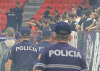 Emrat/ U konfliktuan pas ndeshjes Tirana-Besiktas, policia identifikon autorët! Nën hetim 14 persona