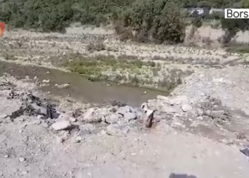 U kapën duke derdhur ujërat e zeza me autobot në Borsh, arrestohet shoferi, biznesmeni në kërkim