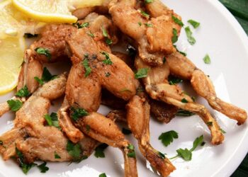 Gjuetia pa kriter/ ‘Uria’ për bretkosa po rrezikon speciet në Shqipëri dhe Azi