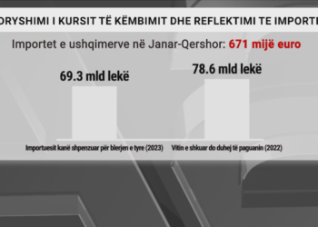 “Importuesit po rrisin marzhet e fitimit”/ Euro bie, por çmimet e produkteve që vijnë nga jashtë po shtrenjtohen