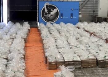 Aksioni/ Holanda sekuestron sasi rekord kokaine me vlerë 600 milionë euro. Vinte nga Ekuadori, në kuti bananesh