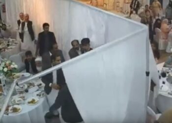 VIDEOLAJM/ Grushte e goditje me karrige, dasma kthehet në përleshje masive