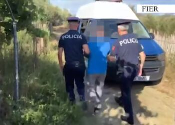 VIDEO/ Kanabis mes pemëve frutore, 52-vjeçari në Fier kapet ‘mat’ teksa kujdesej për bimët narkotike