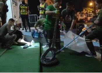 Gjarpri i kishte mbështjellë këmbën, i moshuari e kafshon: Mendova se do të vdisja