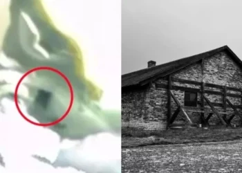 Konspiracionistët pretendojnë se kanë zbuluar strehën e Hitlerit në Antarktidë përmes hartave të Google