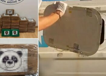 Kokainë brenda karkalecave të detit, trafikantët gjejnë mënyra të reja