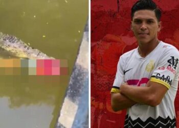 VIDEO/ Krokodili kafshon për vdekje futbollistin, trajneri: Ishte një talent i madh, por mori vendimin e gabuar