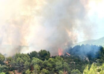 Nuk ndalen flakët/ Zjarr i madh në Laç, ende nuk dihen shkaqet
