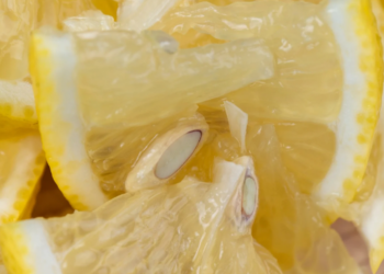 Mos i hidhni kurrë farat e limonit! Arsyeja do ju befasojë