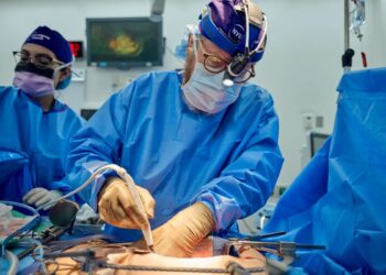 Veshka e derrit transplantohet me sukses në trupin e pacientit të vdekur