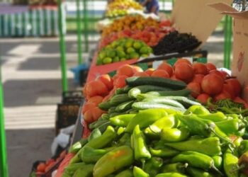 Ndërtimi i tregut “Tirana Agrikulturë”, qeveria miraton fondin e shpronësimeve