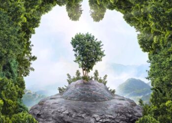 Vitamina që i bën mirë mushkërive, cila është dhe ku gjendet