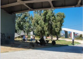 Detaje të reja nga vrasja e 32-vjeçares në Durrës/ Gazetarja: Është vrarë diku tjetër, më pas u hodh poshtë urës. Ja pistat…!