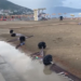 Moti i keq në Vlorë, rrëshqitje dherash dhe probleme në disa zona në plazh