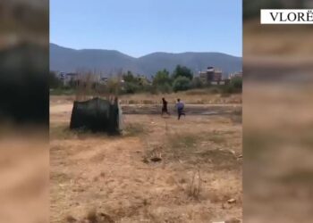 VIDEOLAJM/ U kap në flagrancë duke ndezur zjarr, arrestohet 26-vjeçari në Radhimë