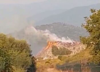 Ruhet me roje/ Fusha e grumbullimit të plehrave pranë inceneratorit të Elbasanit përfshihet nga flakët