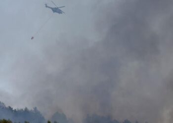 Situata e zjarreve në vend/ Peleshi: Vatrat në Laç janë shuar plotësisht, në Tepelenë po punohet nga terreni