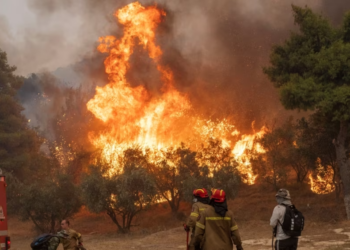Zjarret në Greqi nxisin ndjenjat kundër emigrantëve