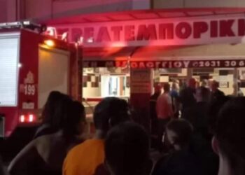 U copëtua nga makina e mishit, vdes para syve të vajzës shqiptarja në Greqi