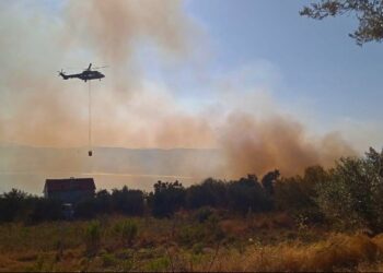 Zjarr në fshatin Hambar të Fierit, pritet ndërhyrje nga helikopteri Cougar