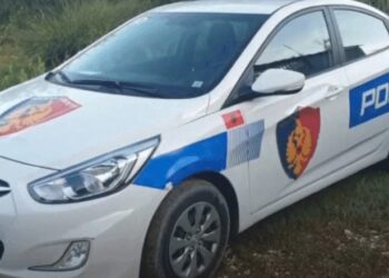 Kundërshtoi efektivët e policisë pasi i kërkuan të lëvizë makinën se e kishte parkuar gabim, arrestohet 24-vjeçari në Shkodër