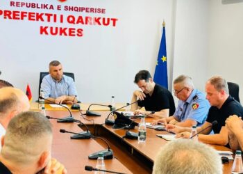 Zgjedhjet e pjesshme në Kukës/ Albert Halilaj kandidon për kryebashkiak, Prefekt emërohet Granit Gjana